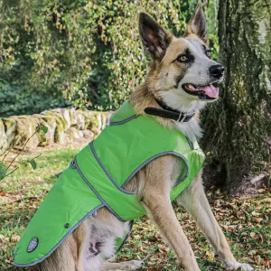 Ancol Stormguard Hi Vis Dog Coat