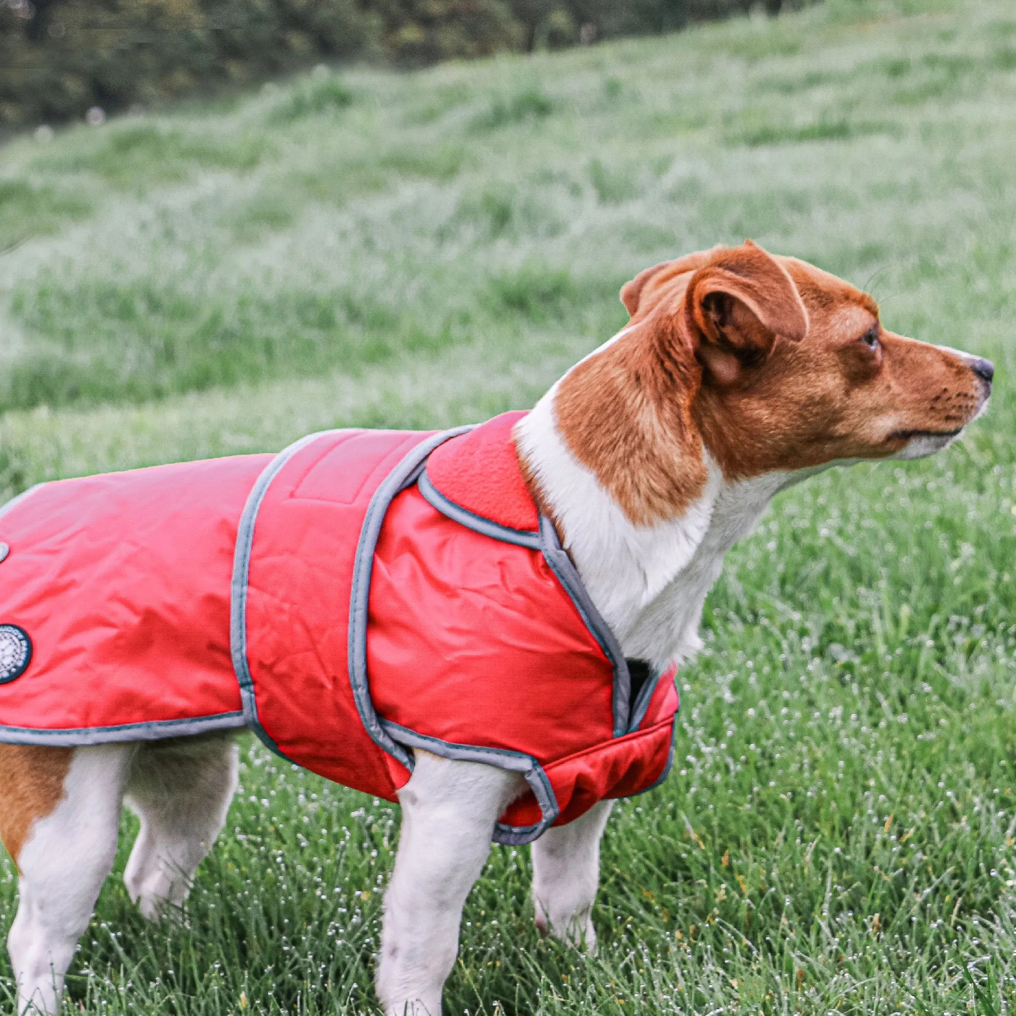 Ancol Stormguard Waterproof Dog Coat