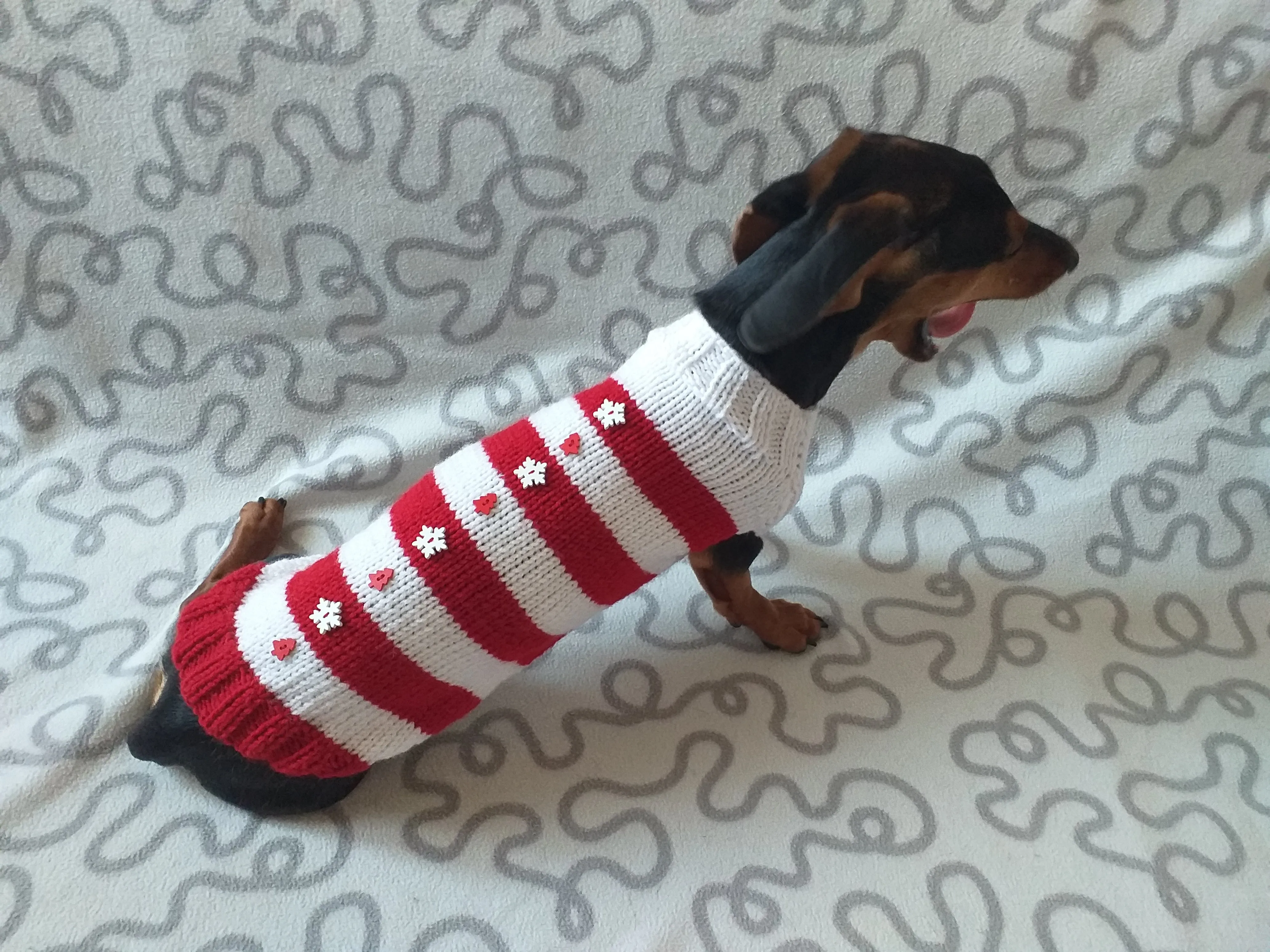 Christmas striped sweater with fir trees and snowflakes for miniature dachshund