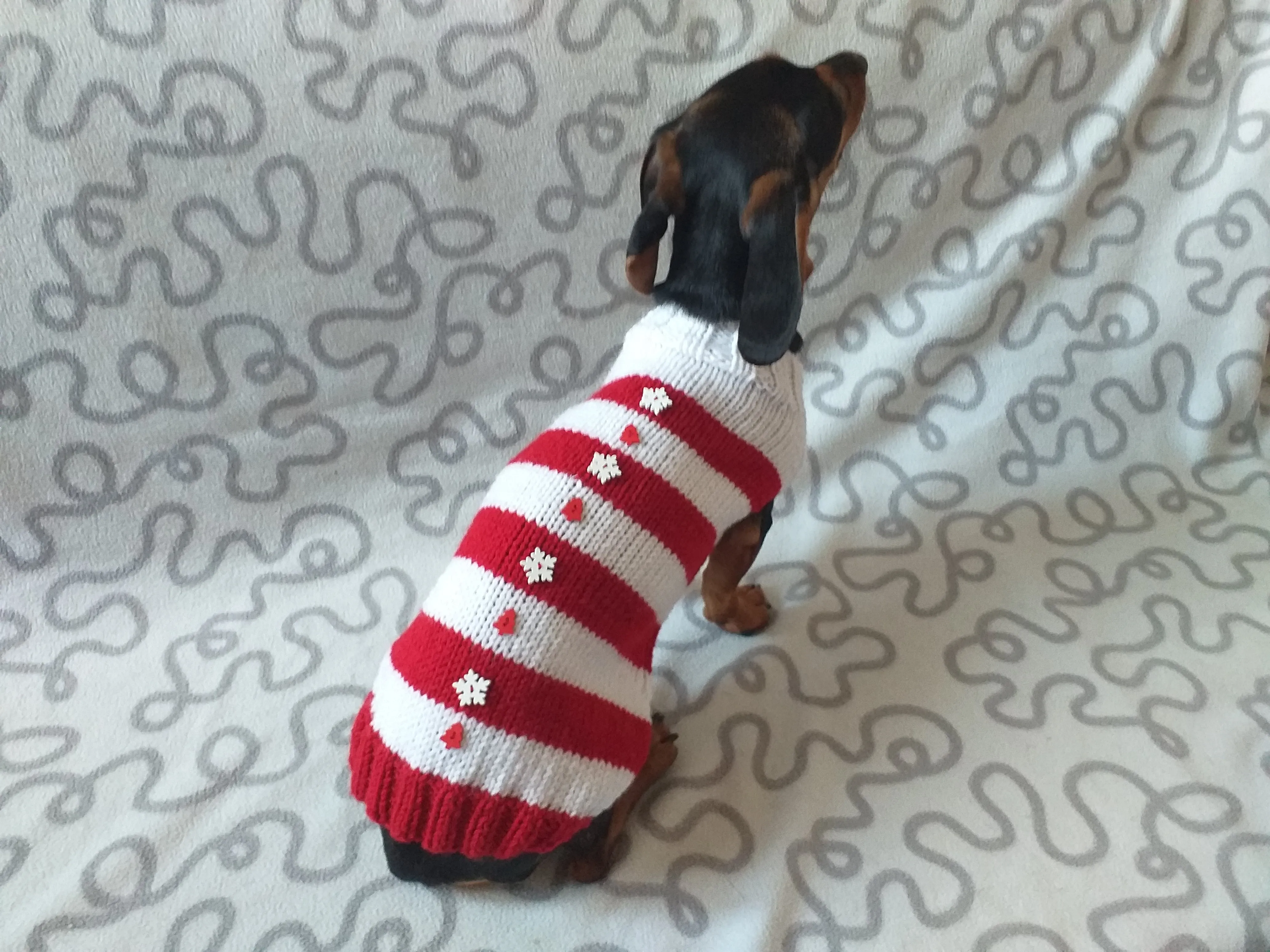 Christmas striped sweater with fir trees and snowflakes for miniature dachshund