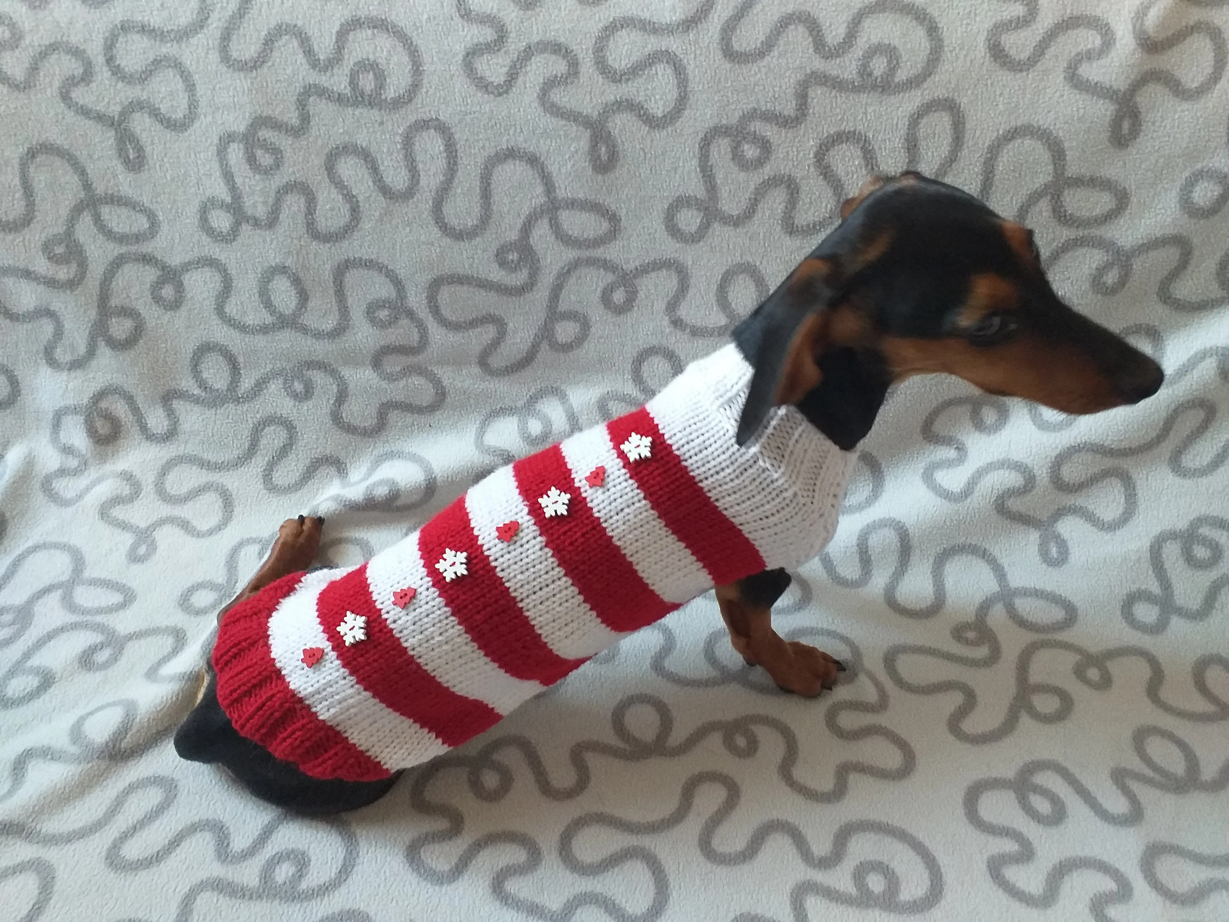 Christmas striped sweater with fir trees and snowflakes for miniature dachshund