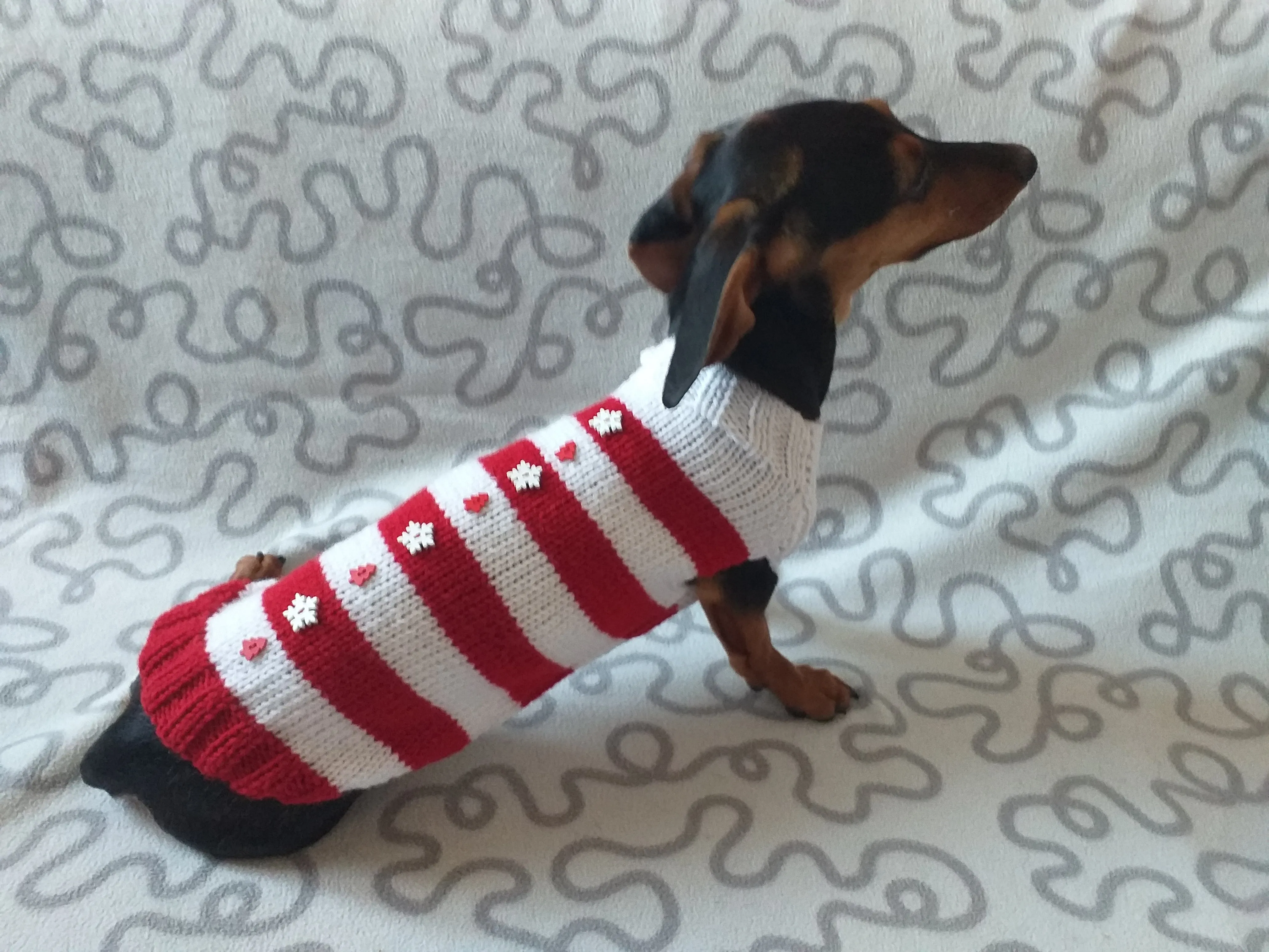 Christmas striped sweater with fir trees and snowflakes for miniature dachshund