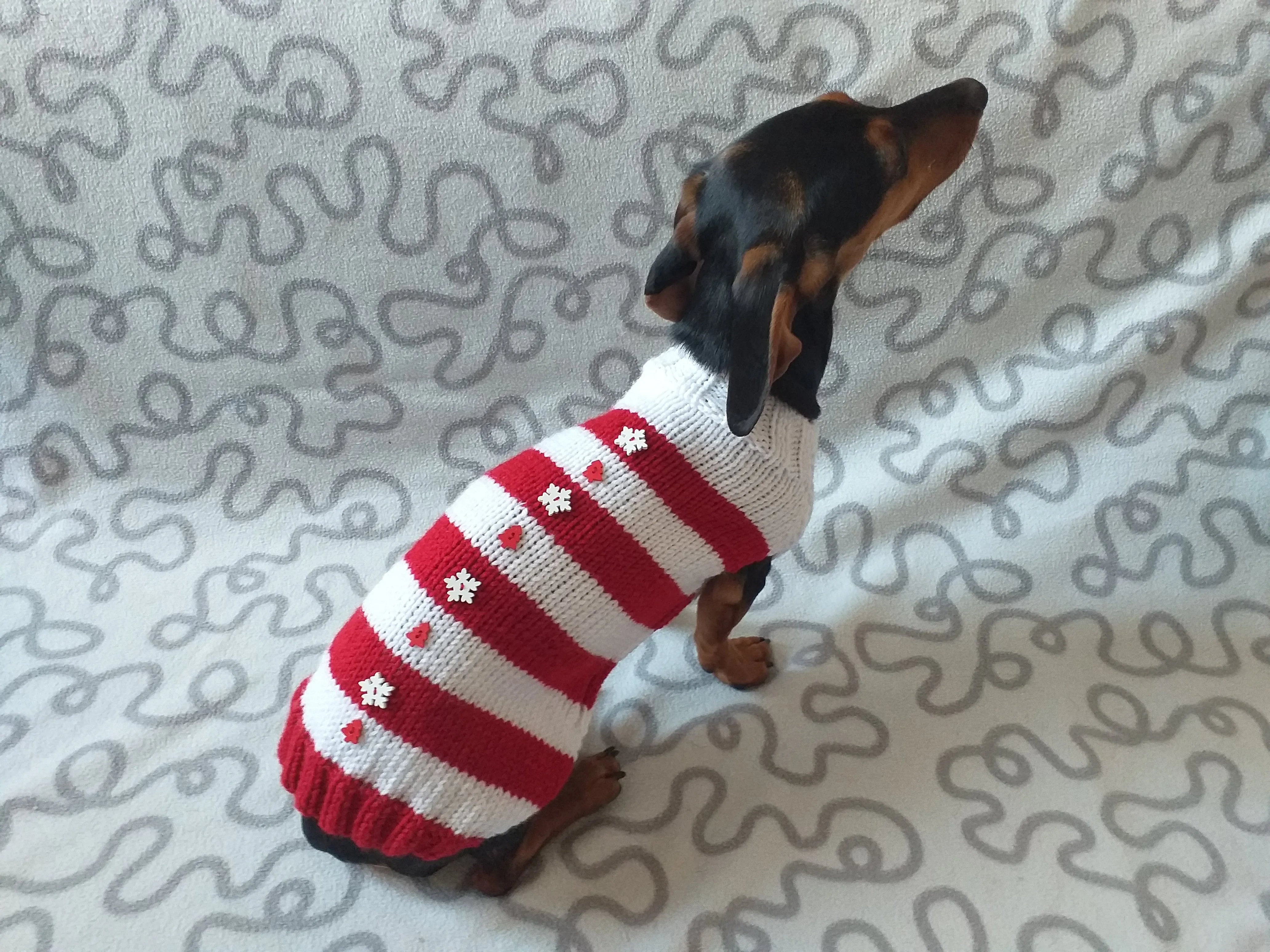 Christmas striped sweater with fir trees and snowflakes for miniature dachshund