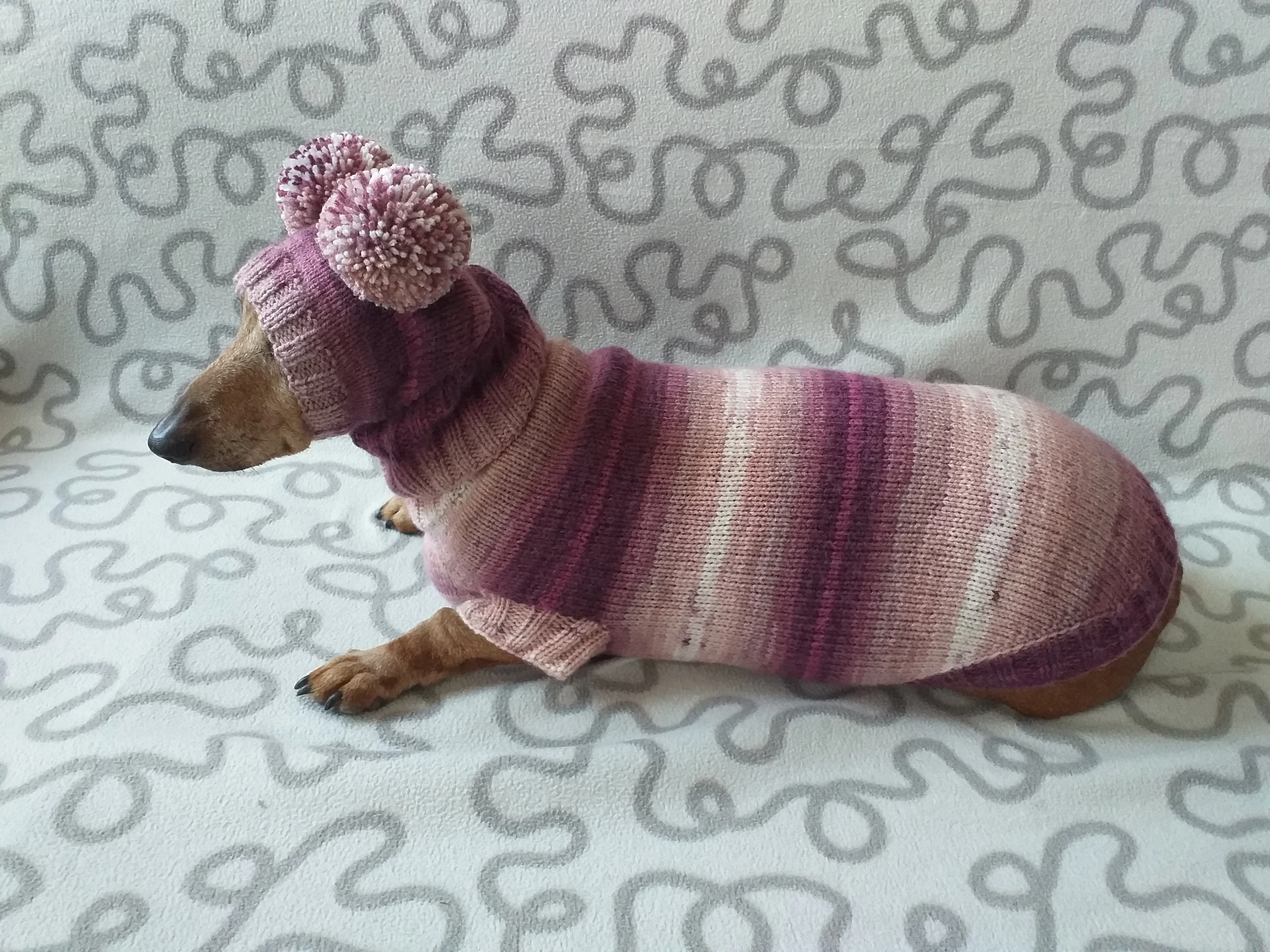 Dachshund costume sweater and hat with two pompoms