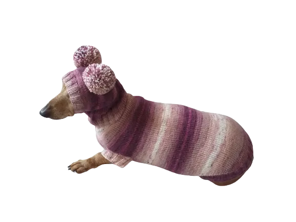 Dachshund costume sweater and hat with two pompoms