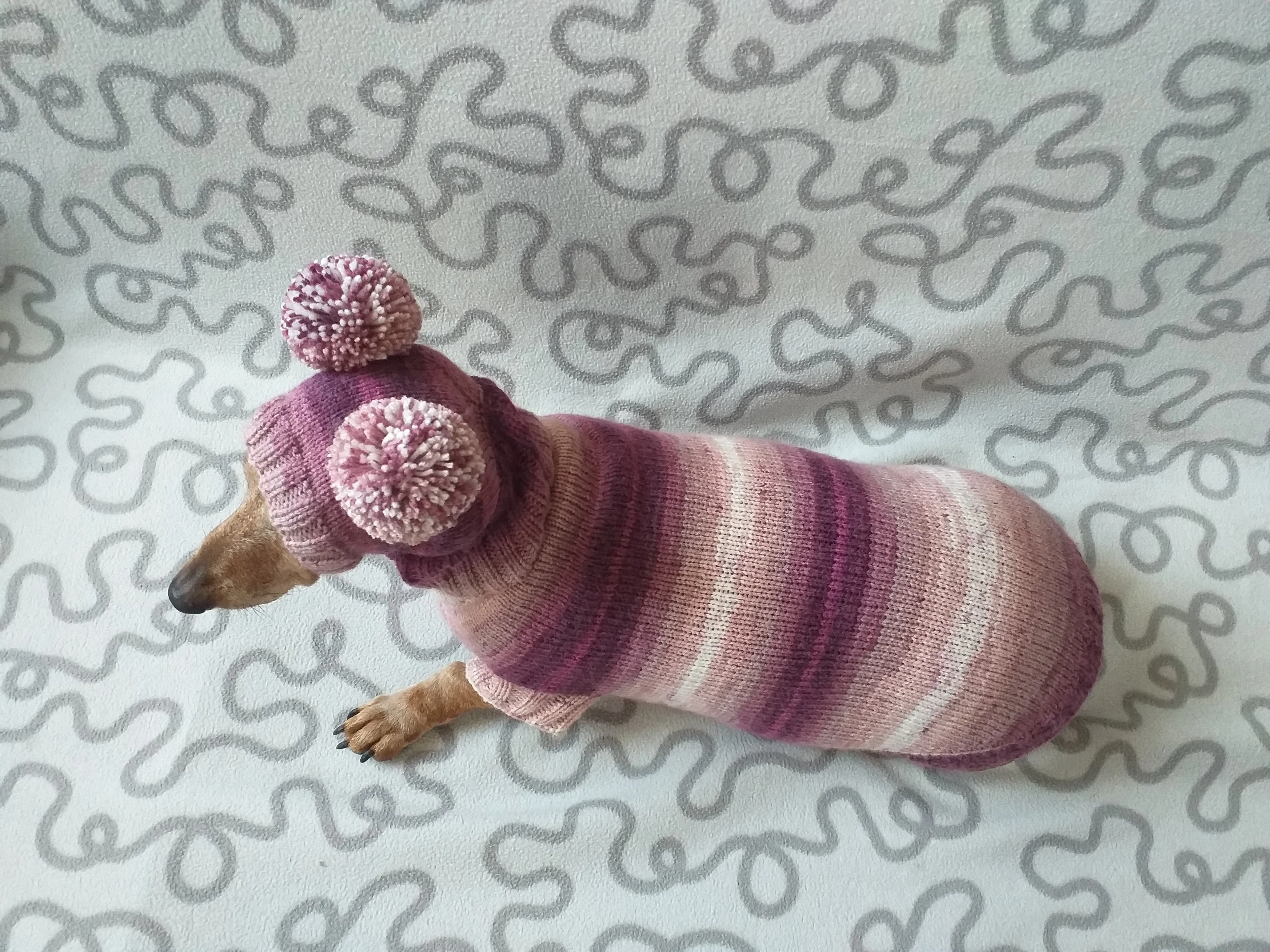 Dachshund costume sweater and hat with two pompoms