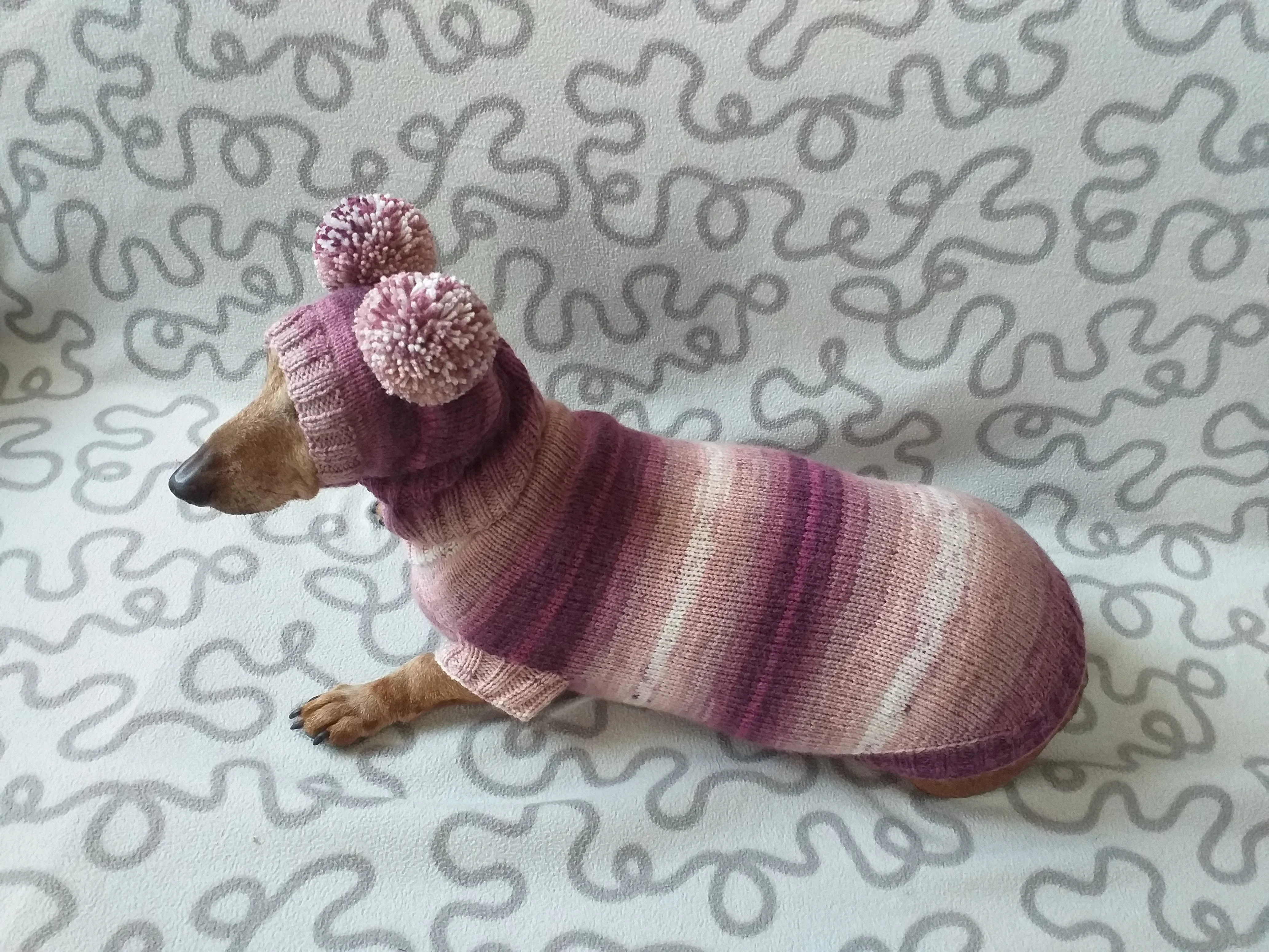 Dachshund costume sweater and hat with two pompoms