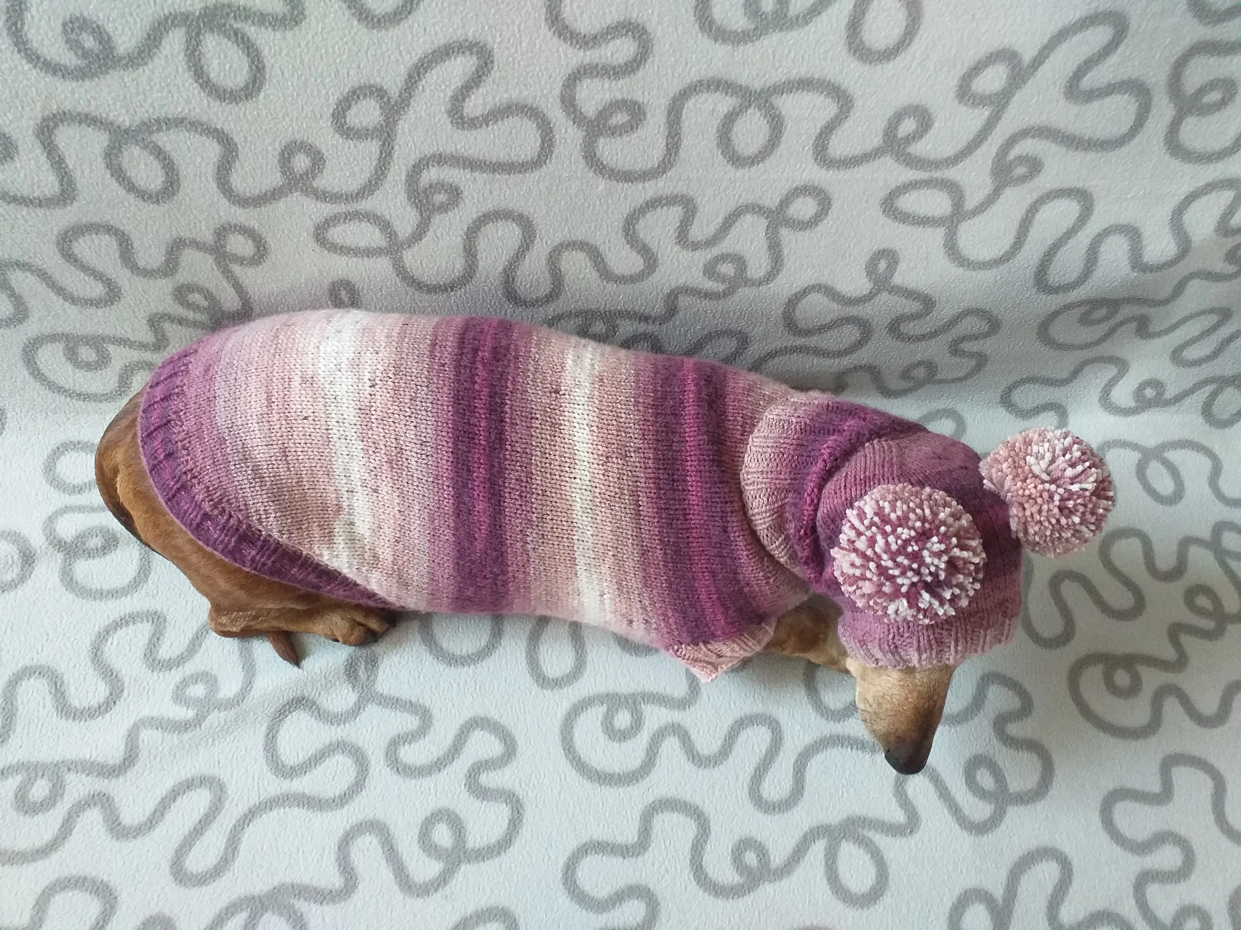 Dachshund costume sweater and hat with two pompoms