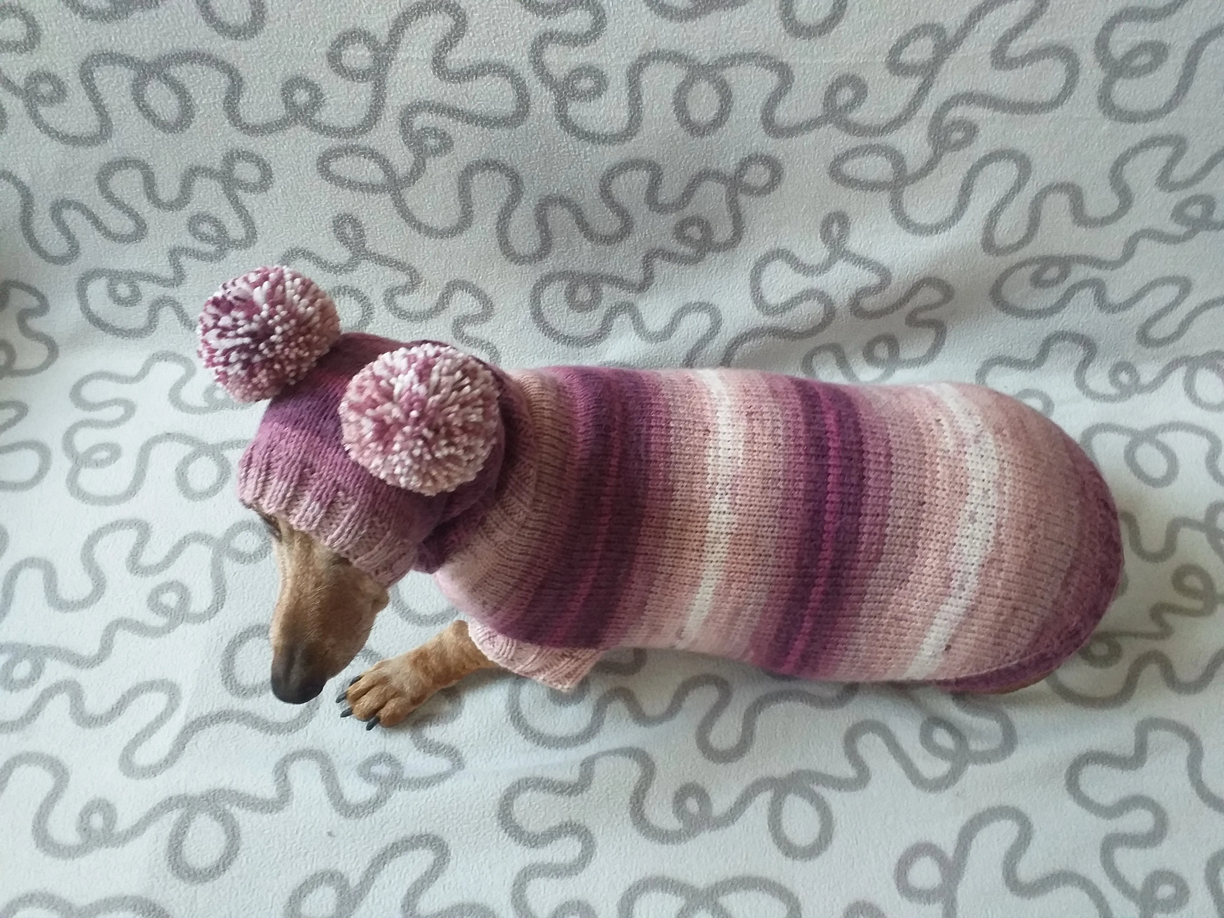 Dachshund costume sweater and hat with two pompoms