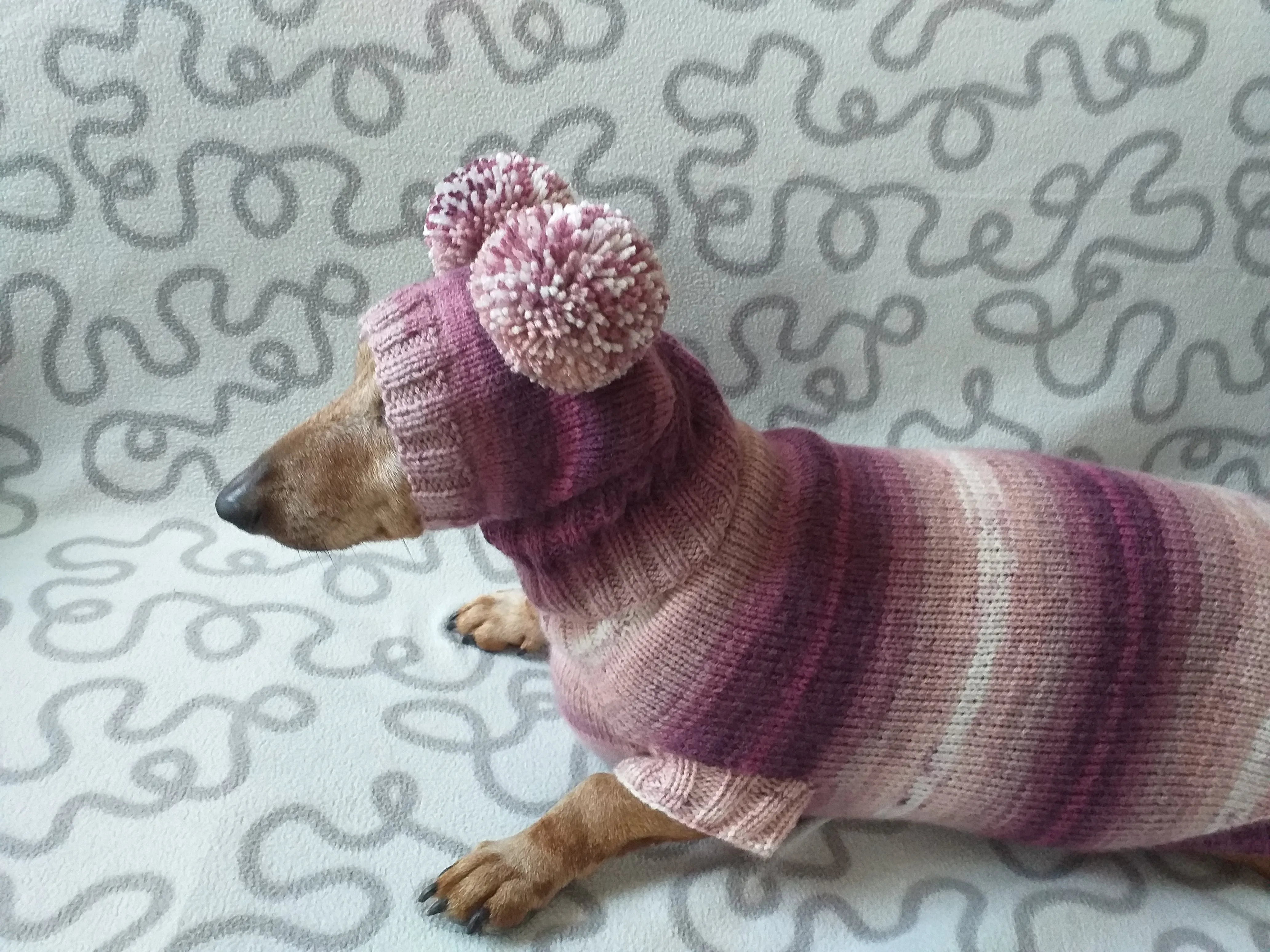 Dachshund costume sweater and hat with two pompoms