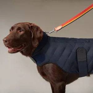 Dog Coat