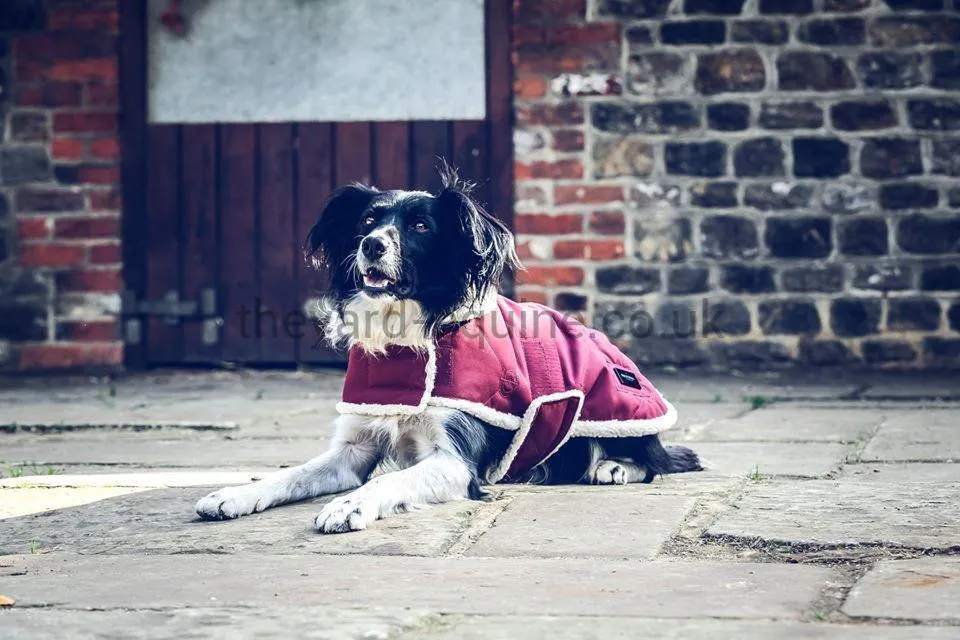 Equestrian Stockholm Fleece Dog Rug - Bordeaux