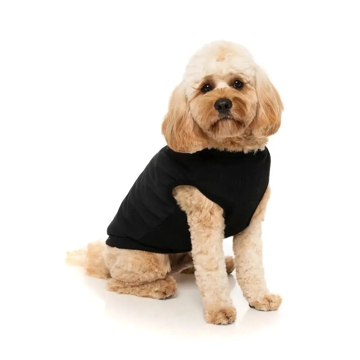 FuzzYard | East MacGyver Dog Harness Jacket - Black