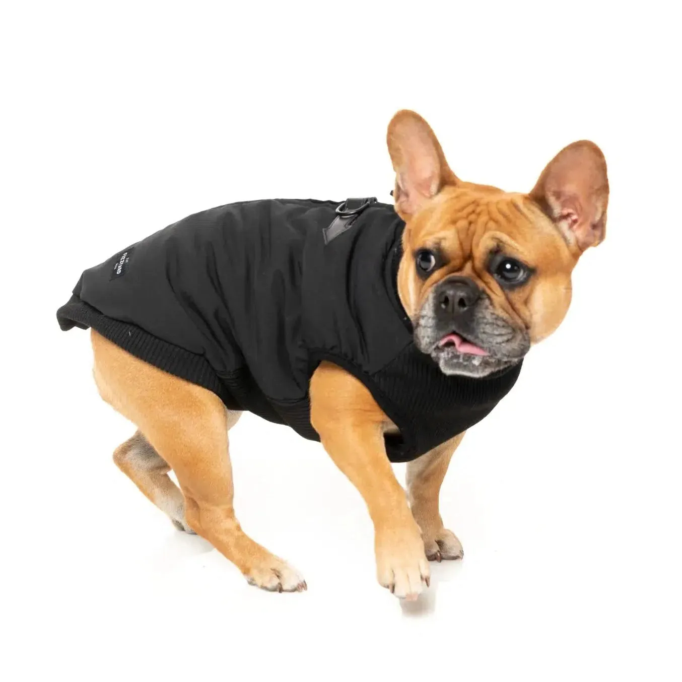 FuzzYard | East MacGyver Dog Harness Jacket - Black