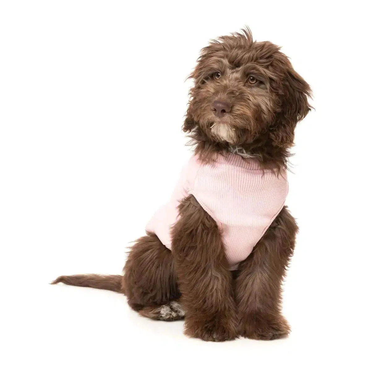 FuzzYard | East MacGyver Dog Harness Jacket - Pink