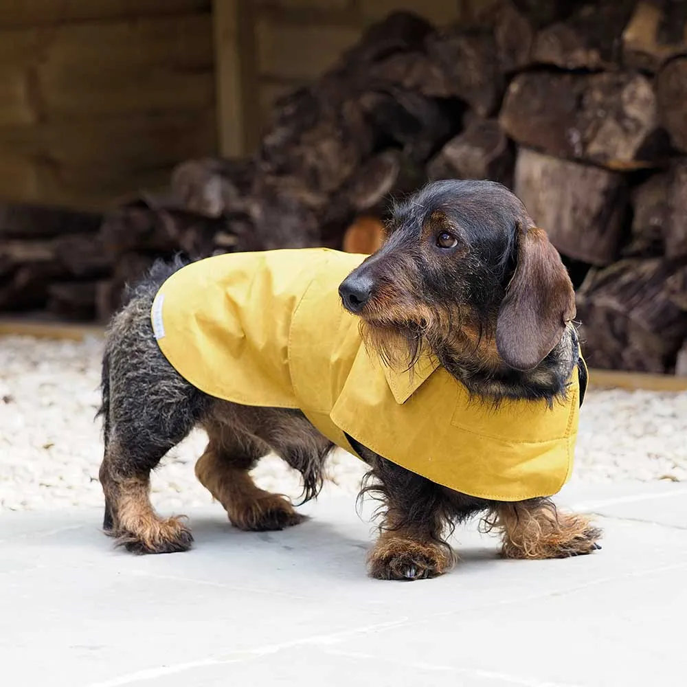 Mutts & Hounds Wax Waterproof Dog Coat - Mustard Yellow