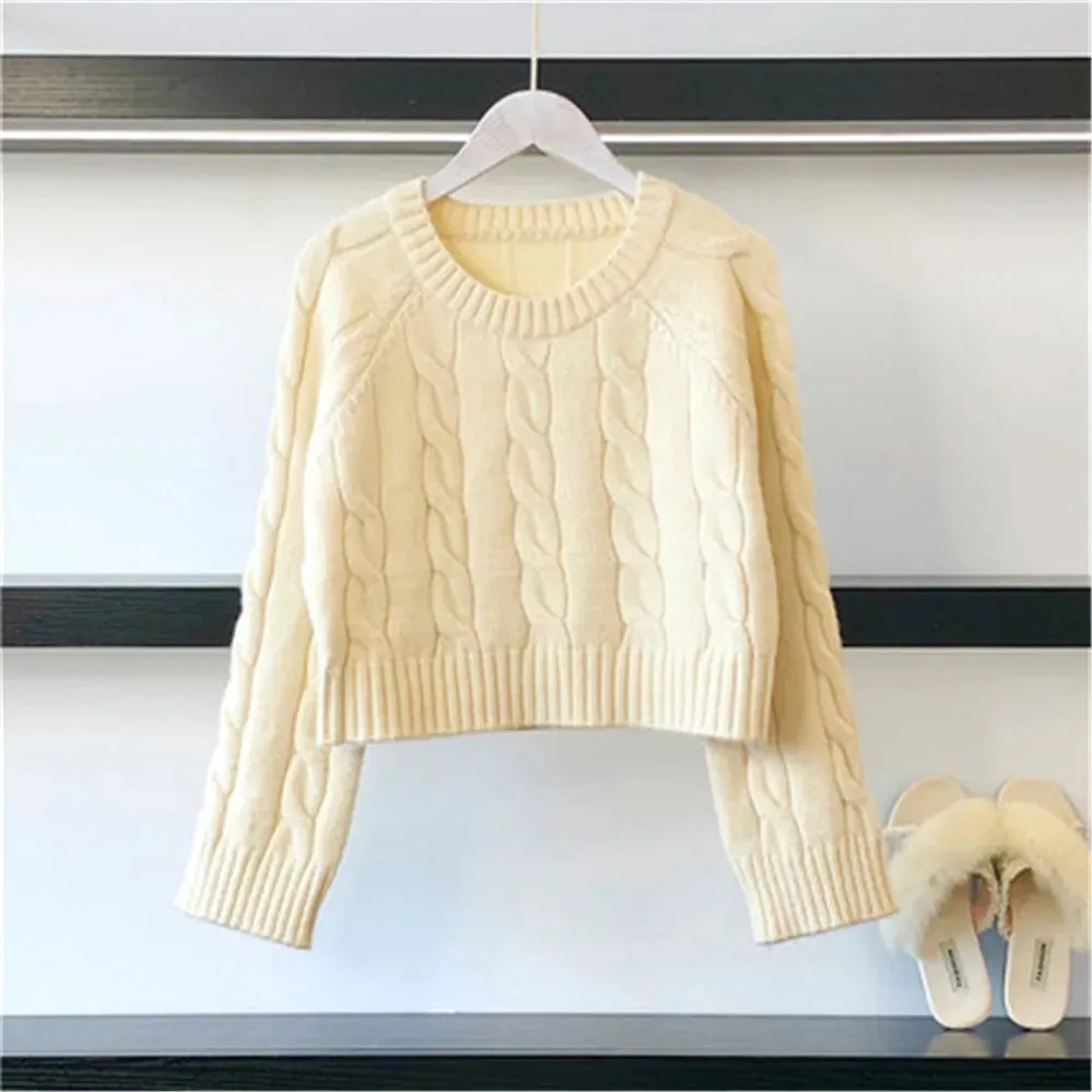 Pre Order:  Solid Casual Crop Knitted Sweater