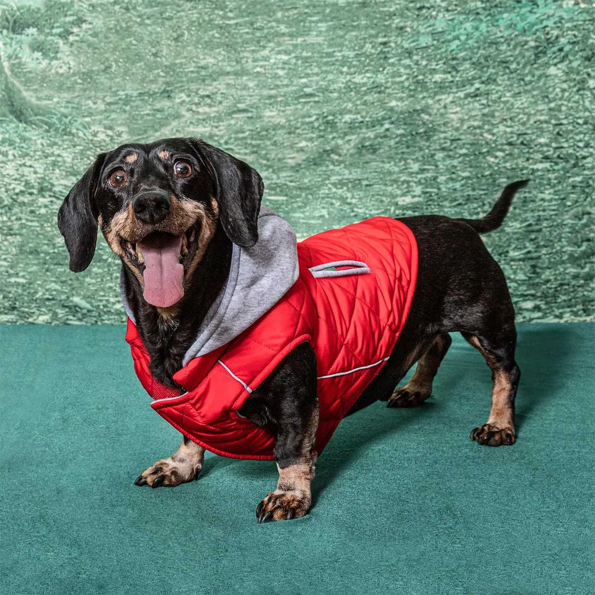 Weekender Sweatshirt Hoodie in Red